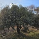 송원농원 이미지