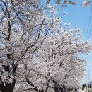 태평여인숙 이미지