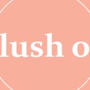 블러쉬온(Blush on)