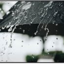 [챗GPT가 알려주는 오늘의 날씨] 6월 4일 수요일 이미지