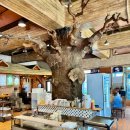 버섯생농장 | 시흥 정왕동 맛집 버섯 생 농장