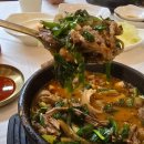 아재밥상 | [고산 로컬 맛집] 금모래가든 염소탕 후기 – 아재들의 찐 맛집 인정!