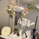 빈야사요가d | 국비지원요가자격증 내일배움카드 국제요가강사자격증 취득 후기