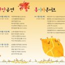 낭만 통기타 이미지