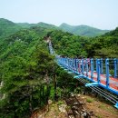 출렁다리 이미지