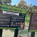 동락공원 반려동물 놀이터 이미지