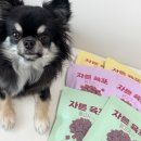 로니펫 | 강아지 육포 말고기 간식 페페로니펫 자른육포 급여 후기