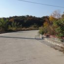 오금1리 이미지