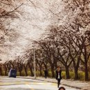 여주대학교 이미지