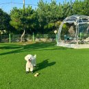 꽃지통나무펜션 이미지