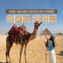 유영건설 | 이집트 카이로 여행 필수코스 대표여행지 총정리