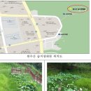 원수산 뉴스1