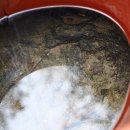 대우병원 이미지