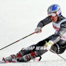 (주)알파인 이미지