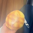 디프헤어 | ♡정성 가득한 교대역 "D'If 디프 스튜디오" 후기