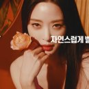 멀츠아시아퍼시픽 피티이엘티디 이미지