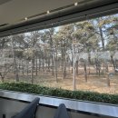 펫 유토피아 이미지