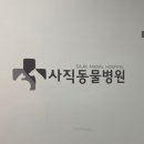 프란다스동물병원 이미지