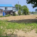 소로3-287 이미지