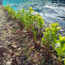 산여울농장 이미지