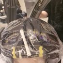 뿌리 | 대치동미용실 무이한티점] 테오 디자이너 뿌리펌 후기