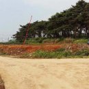 동진면사무소 이미지