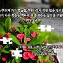 PICTURE&TEXT_20210822_마가복음 8장 35절_'꽃기린'_꽃말_'고난을 깊이 간직하다(예수님의 꽃)' 이미지