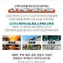 내동농산