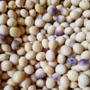 항아리황토방 이미지