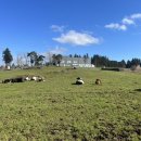 재희목장 이미지