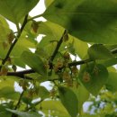 대길농장 이미지