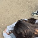 오케이투어