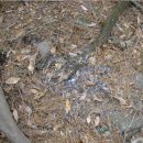 와야리 연화사 위 공중화장실 | [일산스님] 2009년 3월 22일 ~ 24일 통영/연화도/욕지도 산행