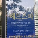The아름다움