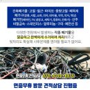 예건빌리지 이미지