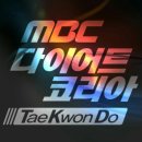 용인대 코리아 태권도 이미지