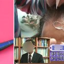 물들임 염색