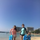 비치 네이버블로그