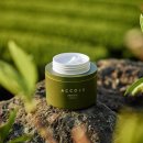 제주 할리데이 이미지