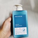 웰프로바디 네이버블로그