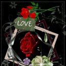 성순4호 이미지