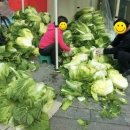 경기도장애인복지회부천시지부 이미지