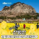 *****제주 유채꽃명소 베스트10 힐링트래킹*****25년 4월일(금)-4월일(일)/2박3일 이미지