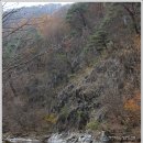 소백산 남천야영장1 이미지