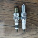 보리토리 이미지