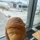 하나둘셋영농조합법인 순영목장 | 2박 3일 제주여행🍊🌴