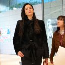 댕댕보스 이미지