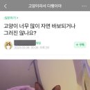 옥미아구찜 네이버블로그