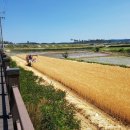 무럭이농장 이미지