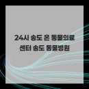 24시 송도 온 동물의료센터 이미지